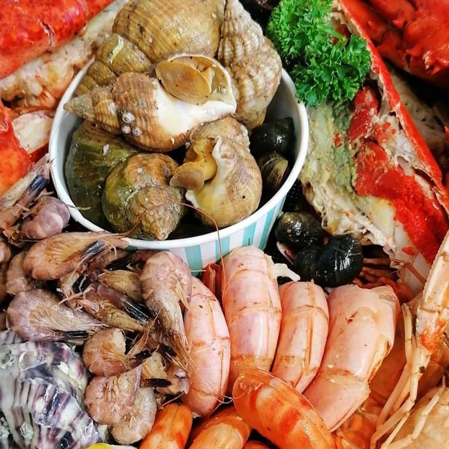 Assortiment de Fruits de Mer